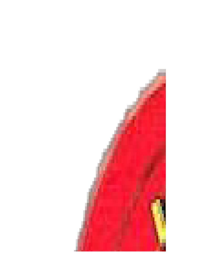 Piñata | PDF