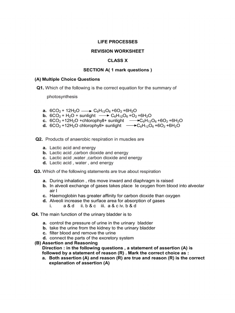 10 Worksheet Life-Processes | PDF