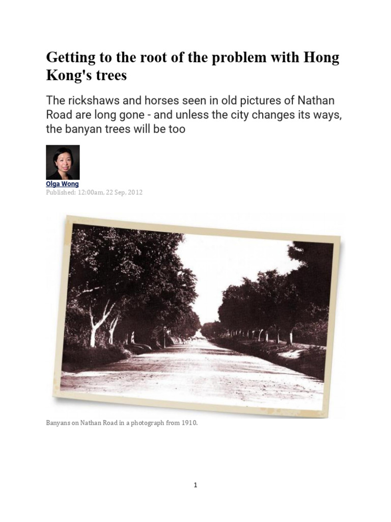 Hong Kong's Heritage Trees at Risk | PDF | Trees