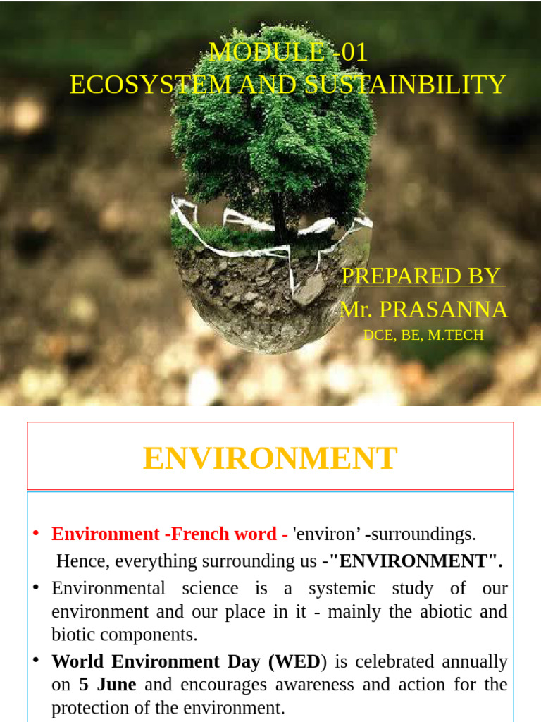 Ecosystem and Sustainability Overview | PDF | Desert | Ecosystem