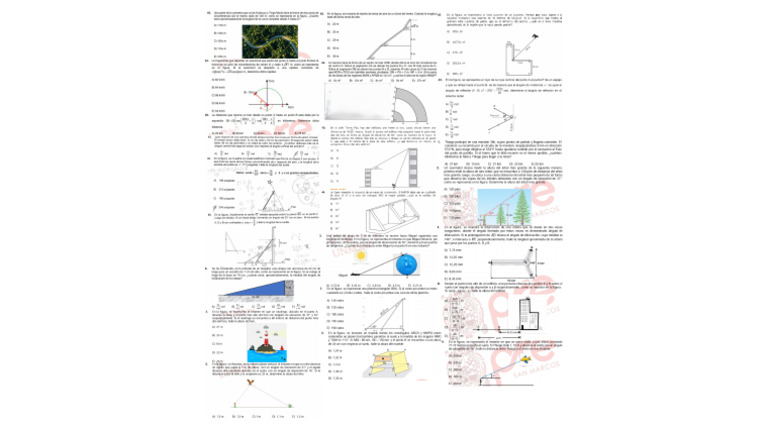 Trigo | PDF