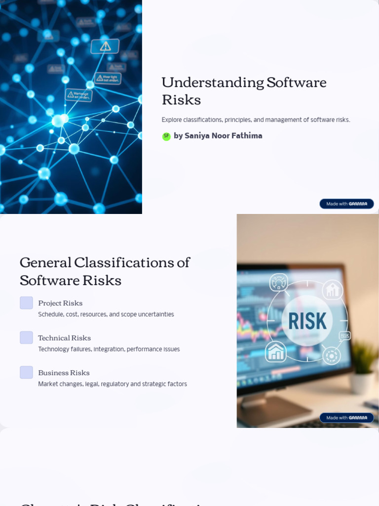 Understanding Software Risks | PDF