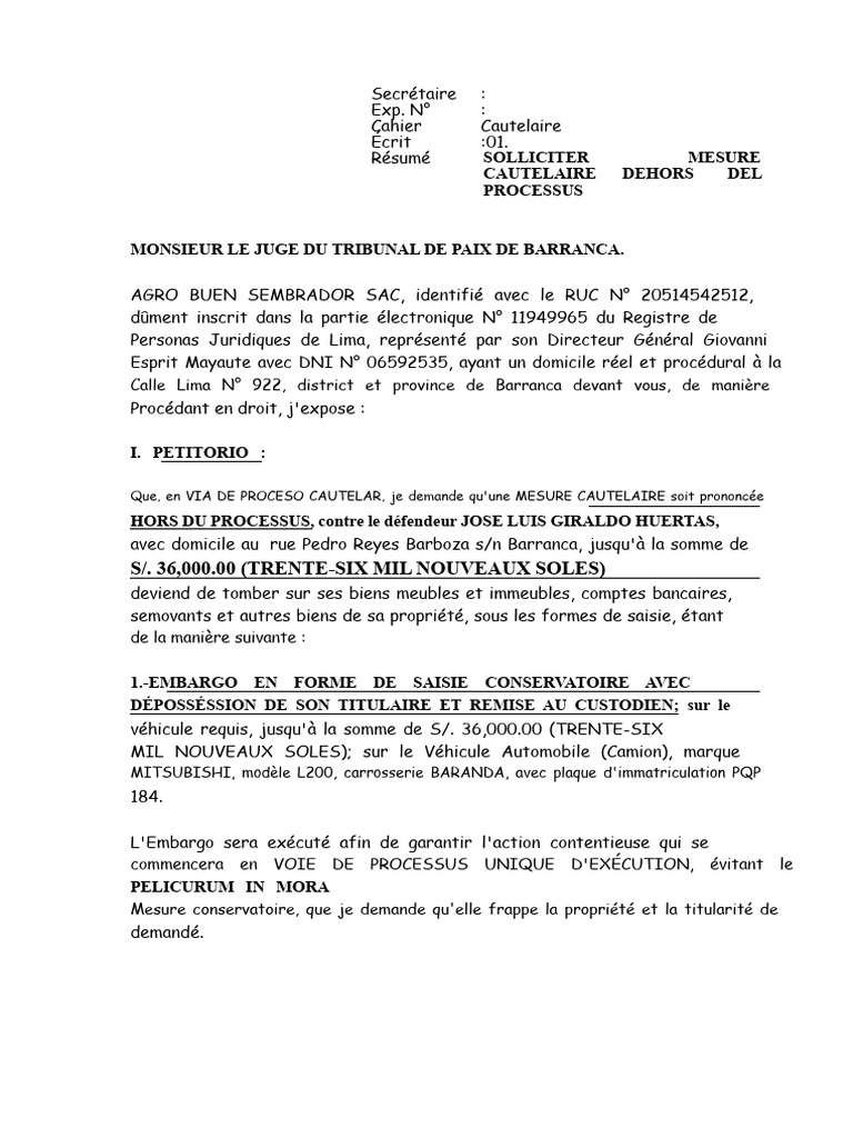 Demande de saisie conservatoire à Barranca | PDF | Business | Argent