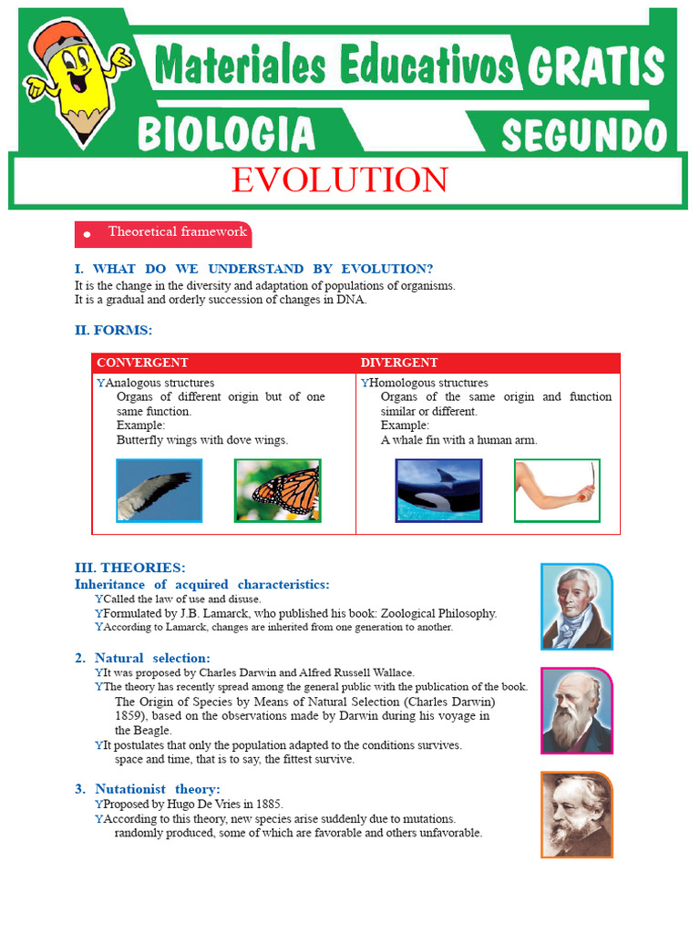 Understanding Evolution: Theories and Evidence | PDF | Natural ...