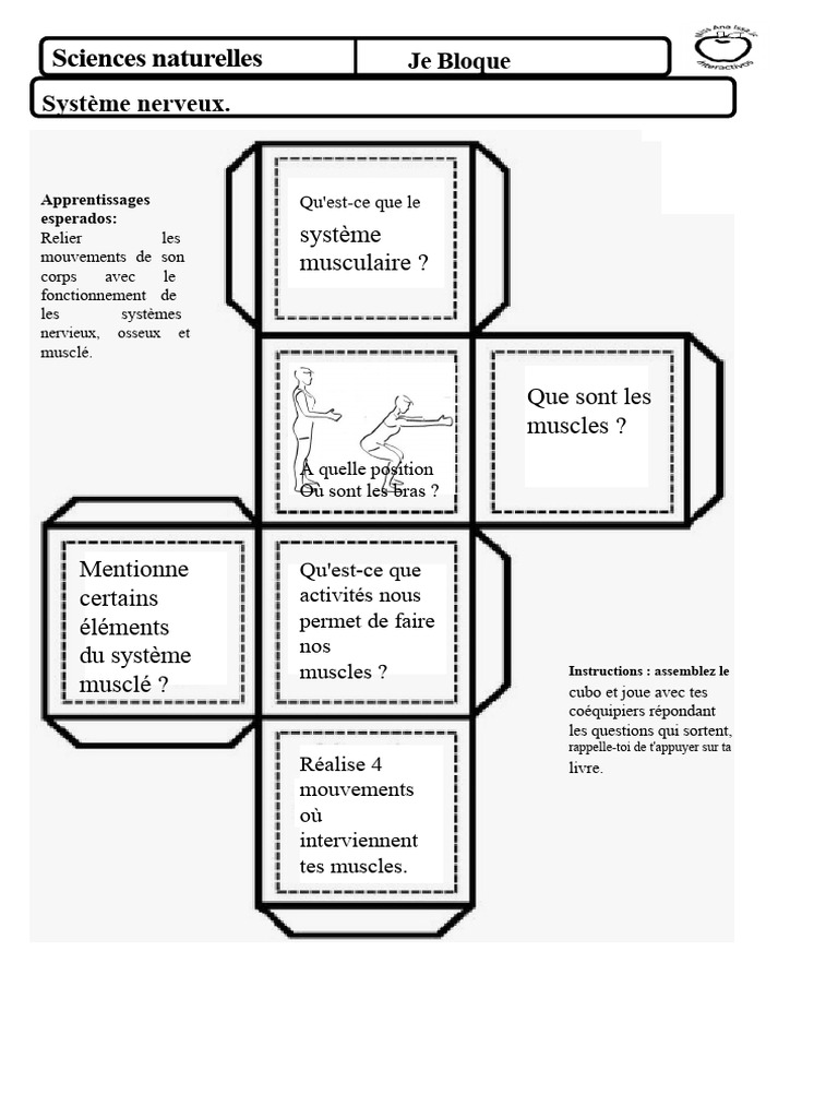 Comprendre le Système Musculaire et Nerveux | PDF