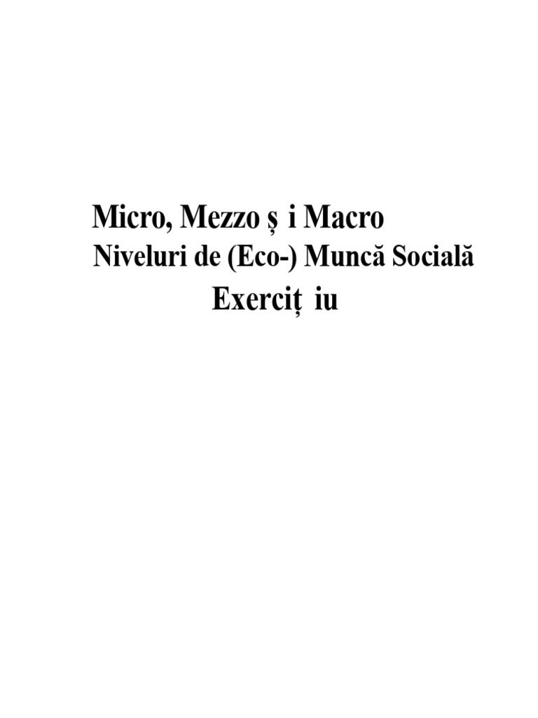 4 Micro Mezzo Macro Social Work | PDF