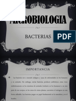 Bacterias