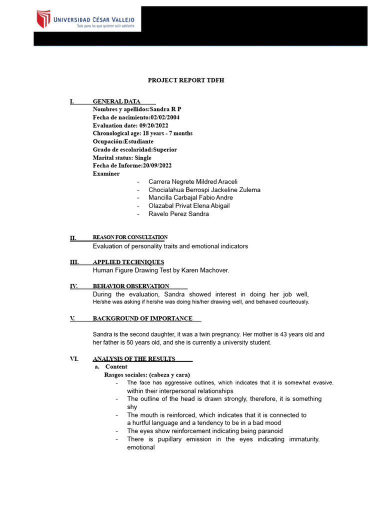 Personality Evaluation Report for Sandra R P | PDF | Perfectionism ...