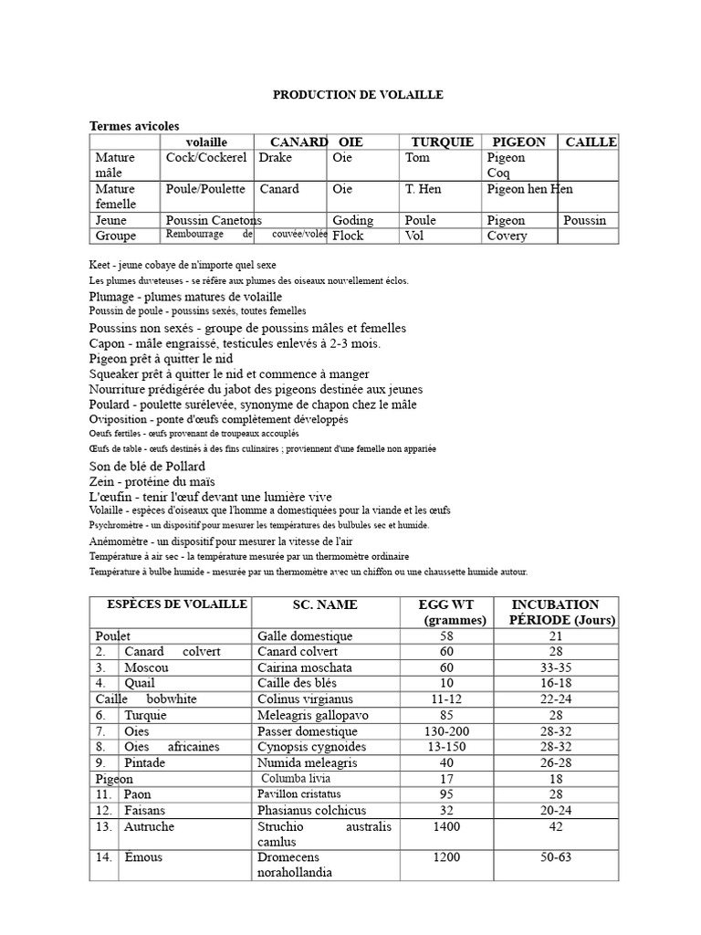 Guide complet sur la production de volaille | PDF | Poulet | Aviculture