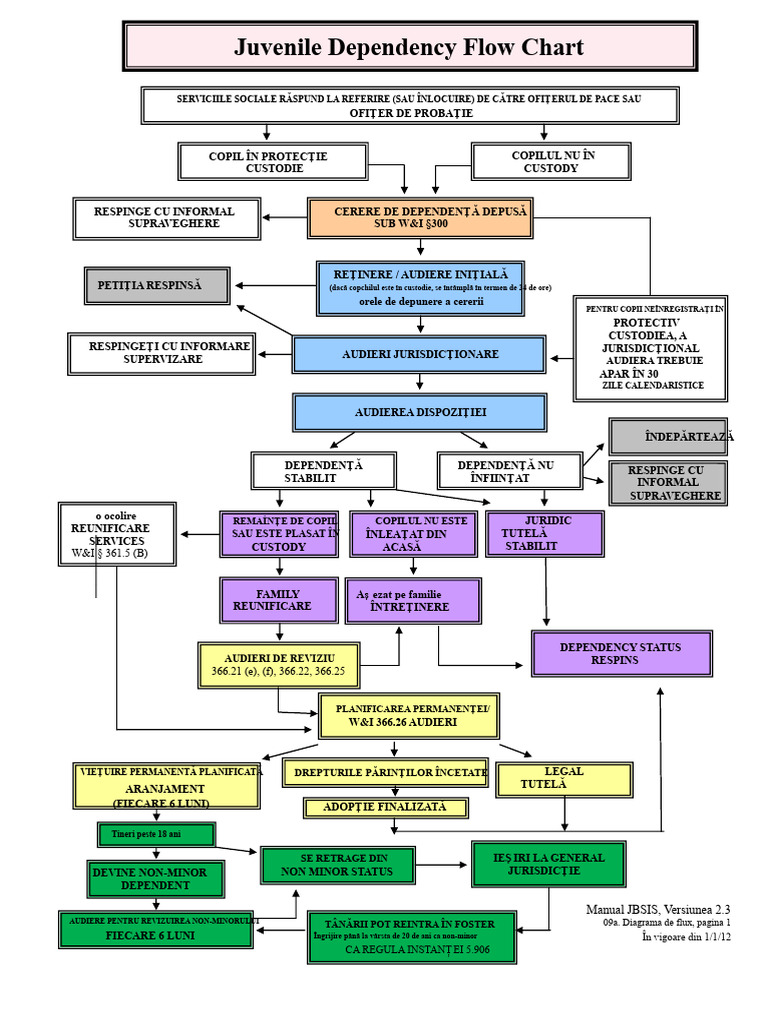 Diagrama Fluxului de Dependență | PDF