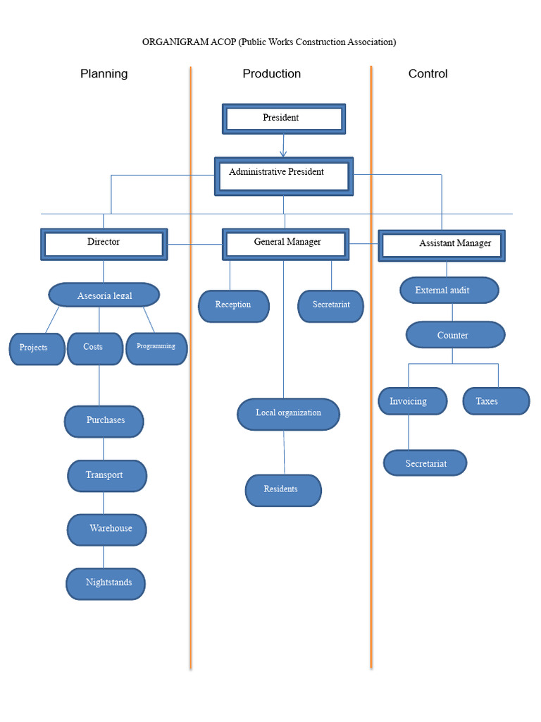 ACOP Organizational Chart Overview | PDF | Taxes | Audit