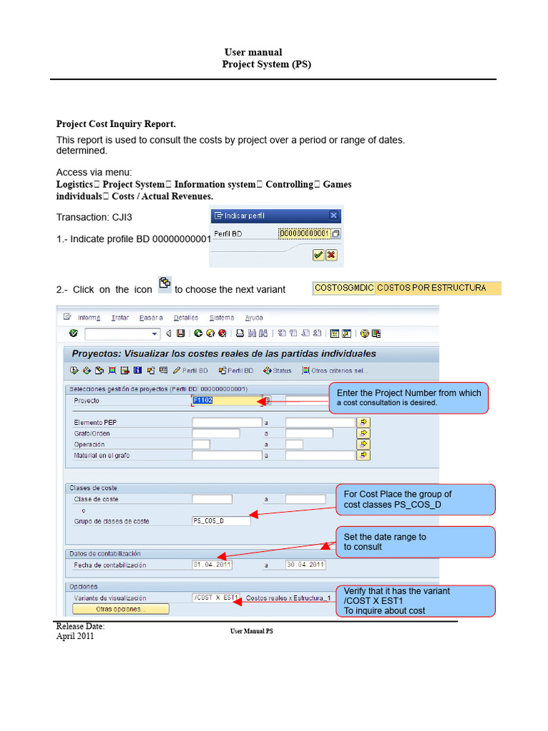 CJI3 Manual Web Cost Inquiry | PDF | Computing