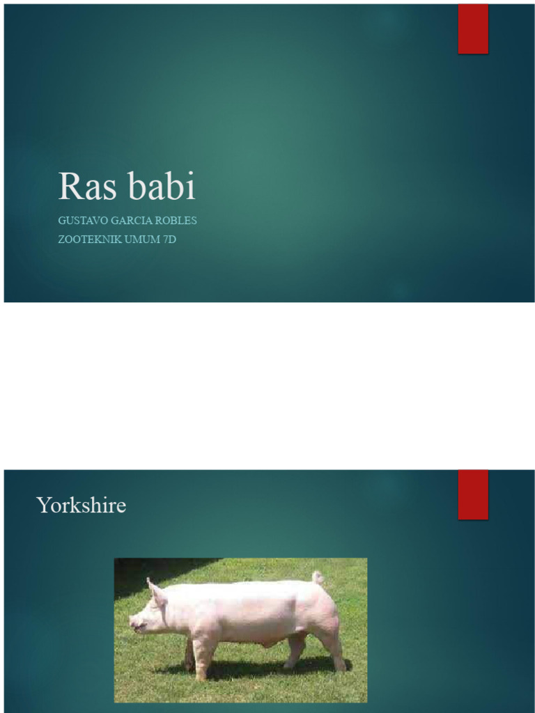Karakteristik dan Genetika Ras Babi | PDF