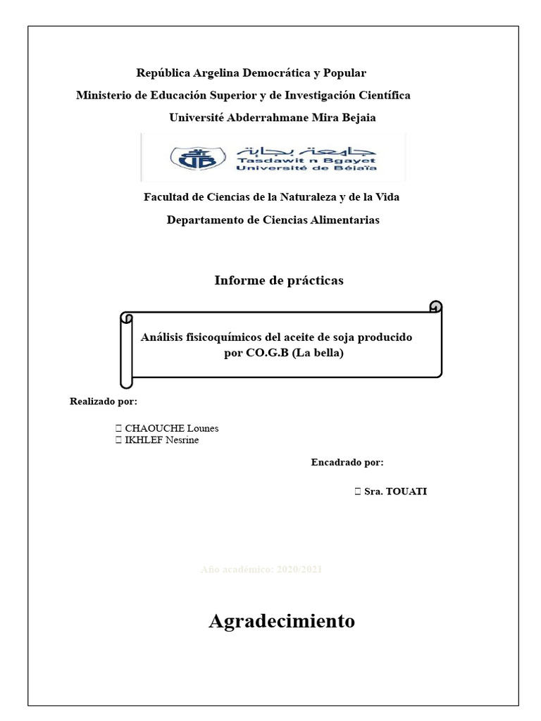 Informe de Prácticas COGB (Registrado Automáticamente) 1 | PDF ...