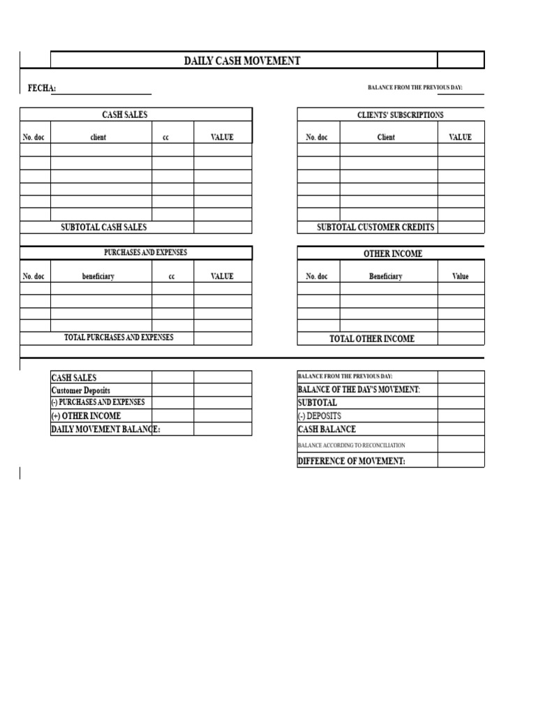 Daily Cash Movement Format | PDF