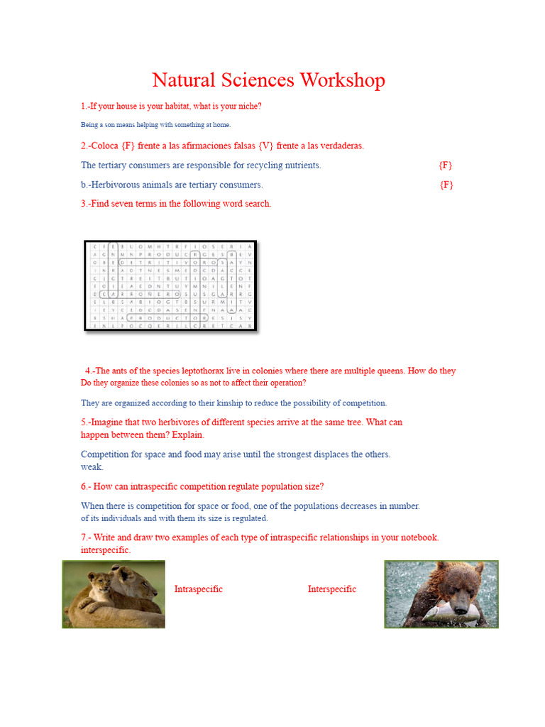 Natural Sciences Workshop | PDF