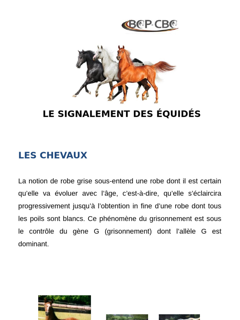 Signalement des Équidés : Marques et Robes | PDF | Chevaux | Equus (genre)