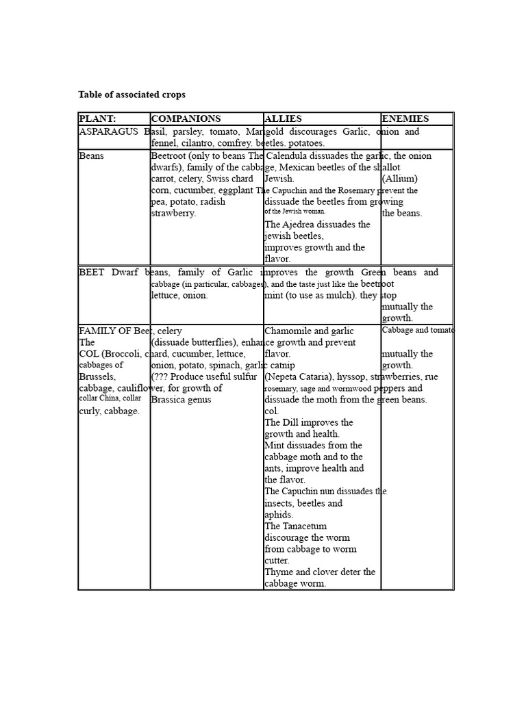 Associated Crops Table | PDF | Dill | Cabbage