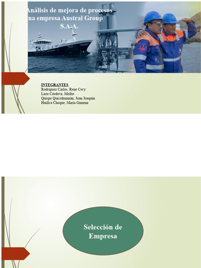 Melhoria de Processos na Austral Group | PDF | Pesca | Business