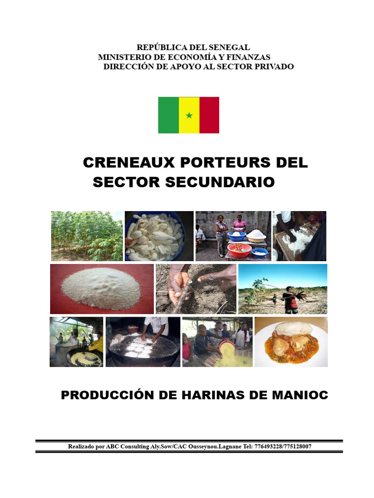 Producción de Harinas de Yuca | PDF | Harina | Trigo