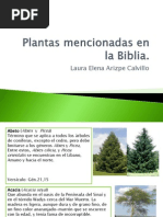 Crucigrama De Plantas Mencionadas En La Biblia