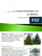 Plantas Mencionadas en La Biblia