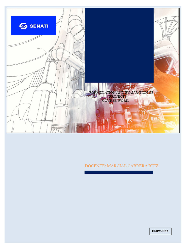2 WORK ON PROJECT PREPARATION AND EVALUATION (1) | PDF