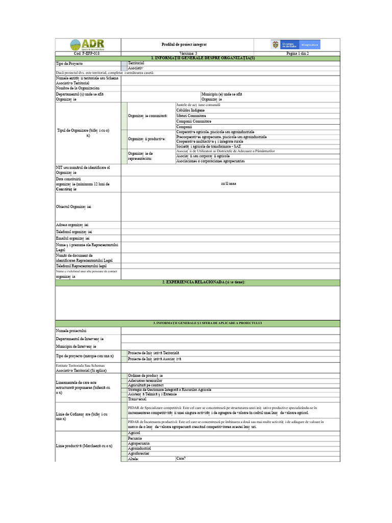 Format Profil Proiect | PDF