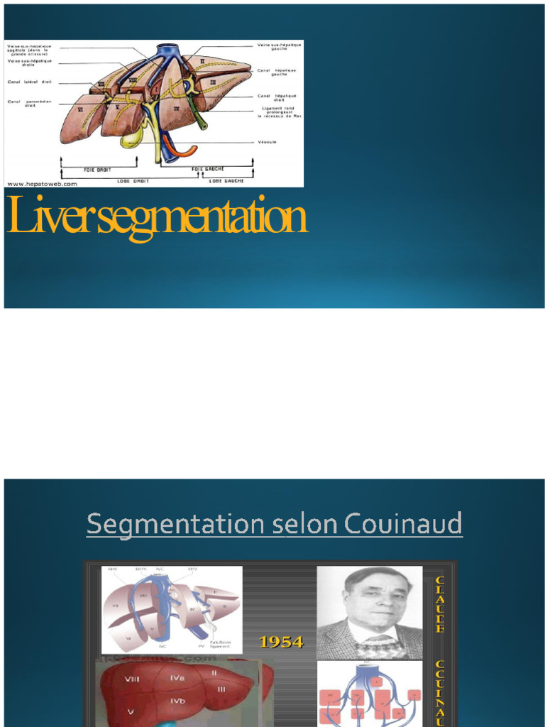 Liver Segmentation: Functional Territories | PDF