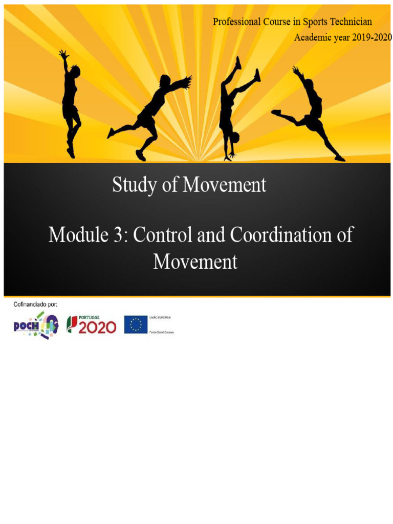 EMov - Control and Coordination of Movement PDF | PDF | Central Nervous ...
