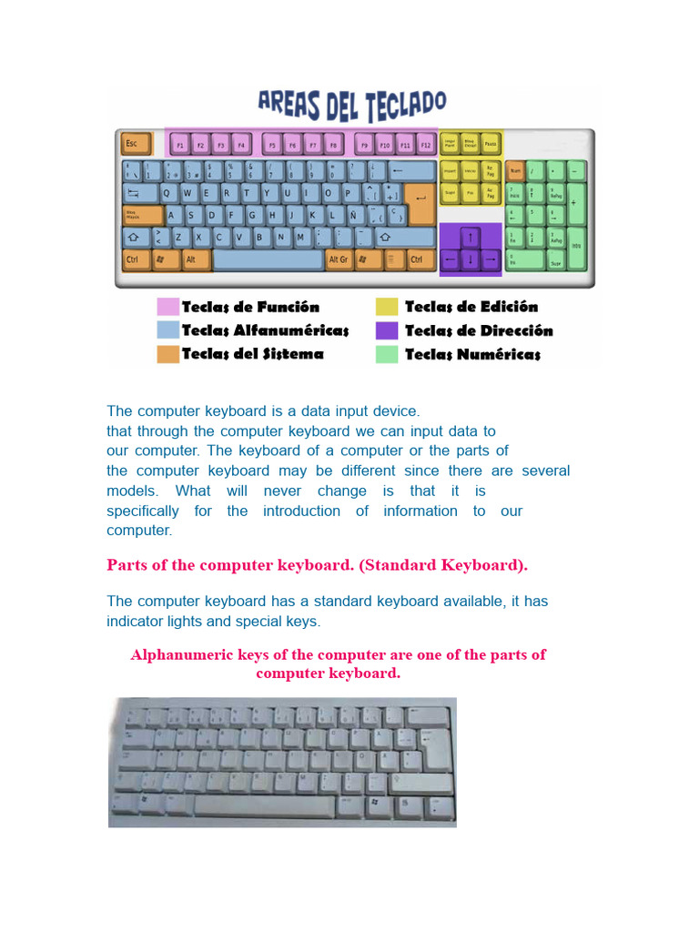 Parts of a Computer Keyboard Explained | PDF | Computer Keyboard ...