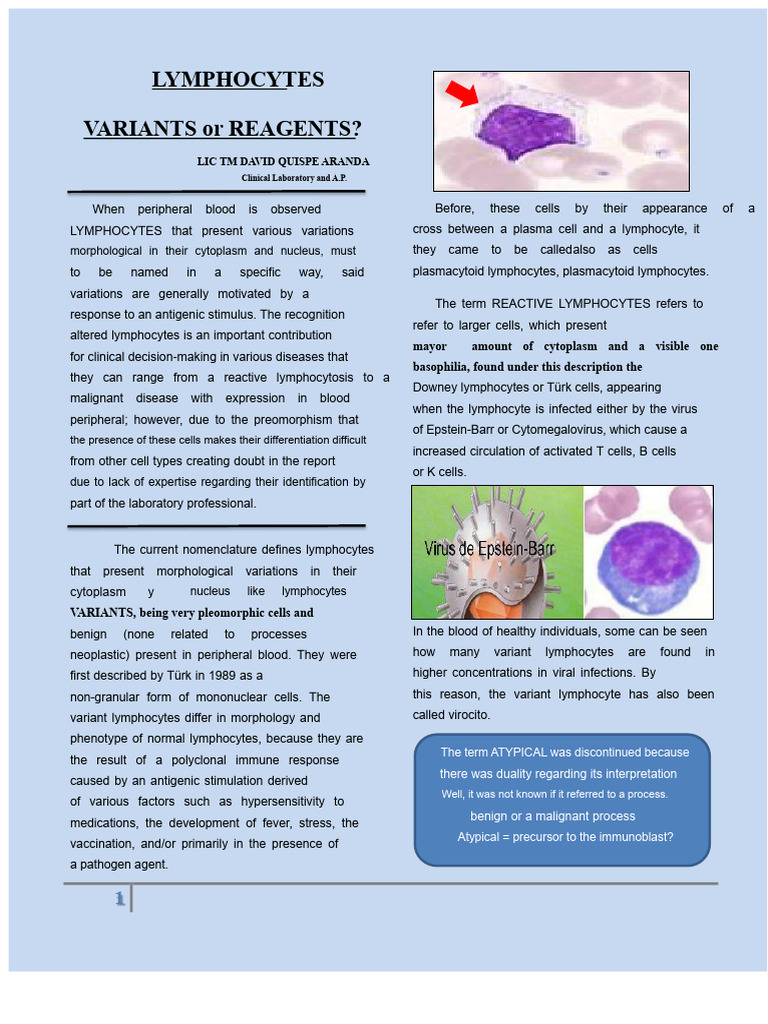 Understanding Variant Lymphocytes | PDF | Lymphocyte | Monocyte
