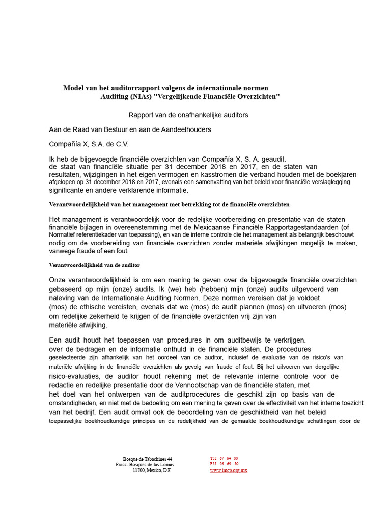 Model Van de Auditor Rapport | PDF