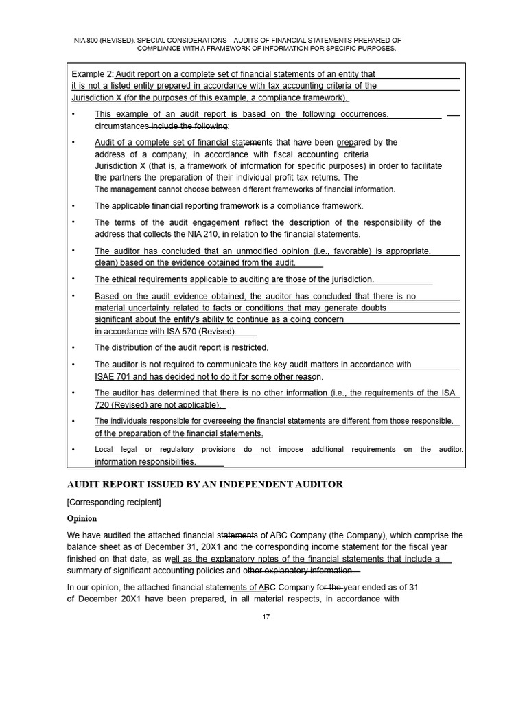 EXAMPLE REPORT NIA 800 | PDF | Audit | Auditor's Report