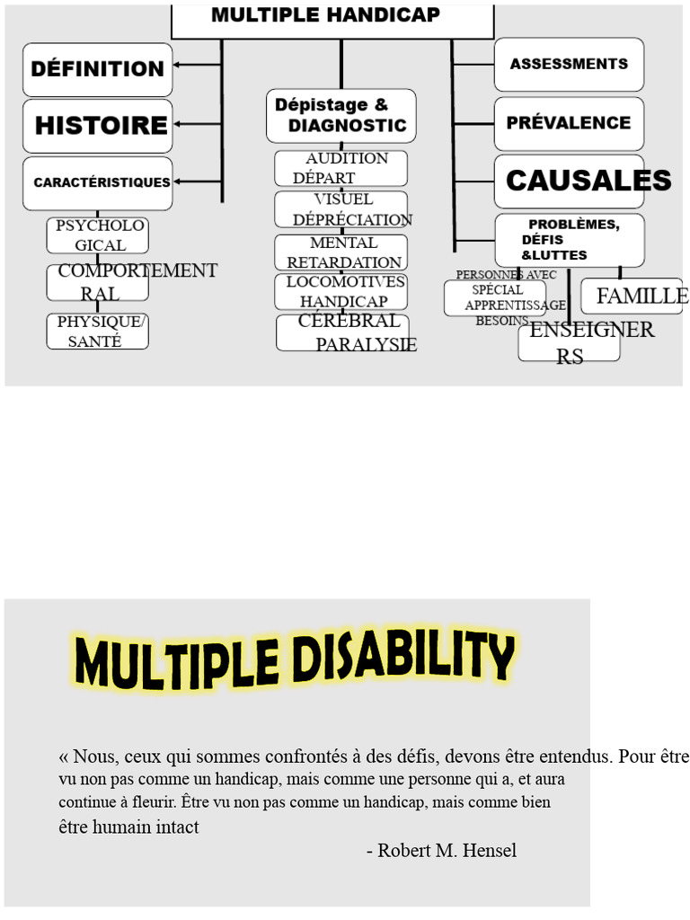 Comprendre le handicap multiple : définitions et enjeux | PDF ...