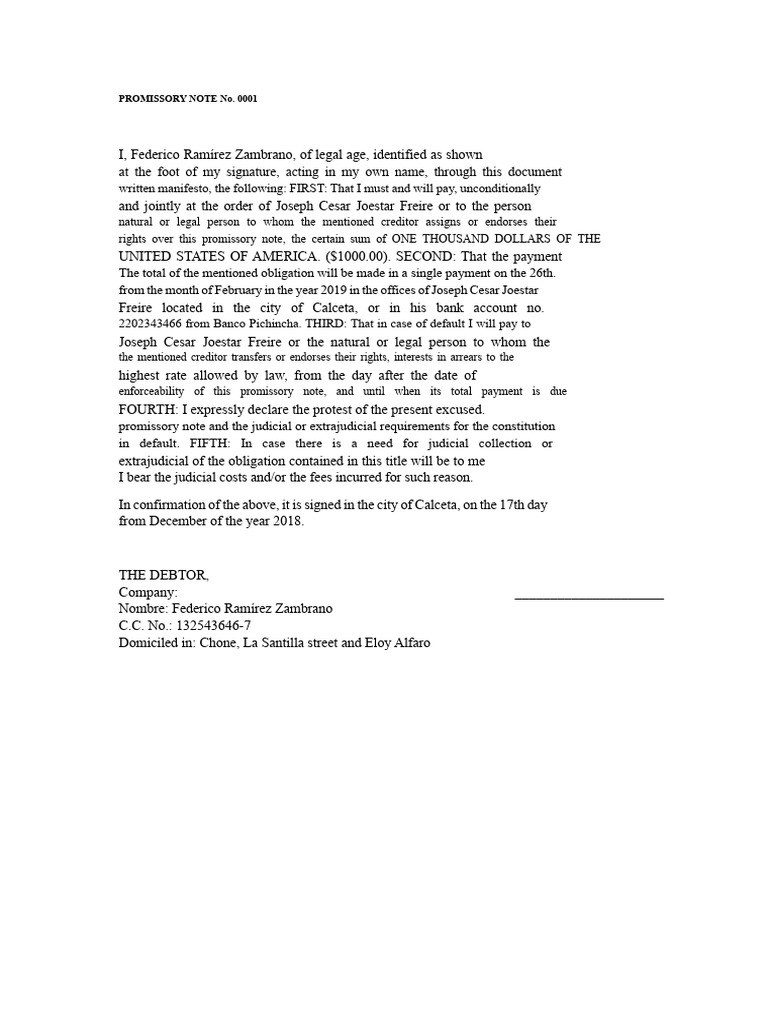 Promissory Note Template for Debtors | PDF | Promissory Note | Money