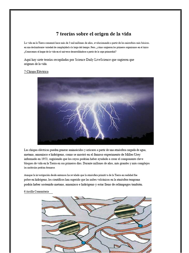 7 Teorías sobre el Origen de la Vida | PDF | Abiogénesis | Adn