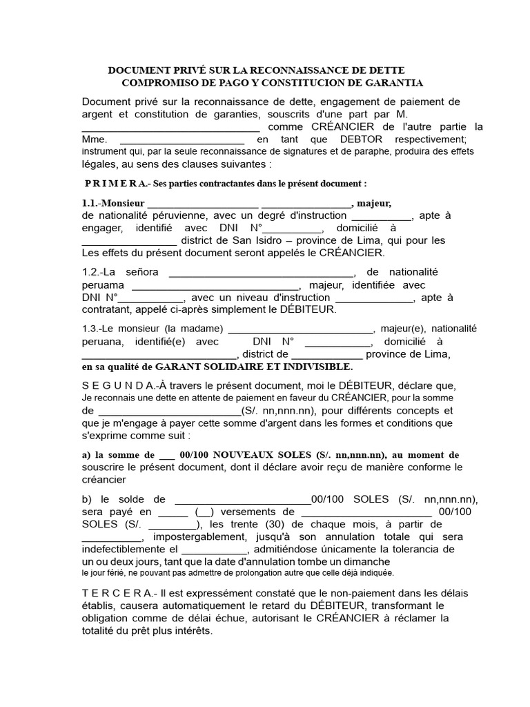 Document Privé de Reconnaissance de Dette, Engagement de Paiement Et ...