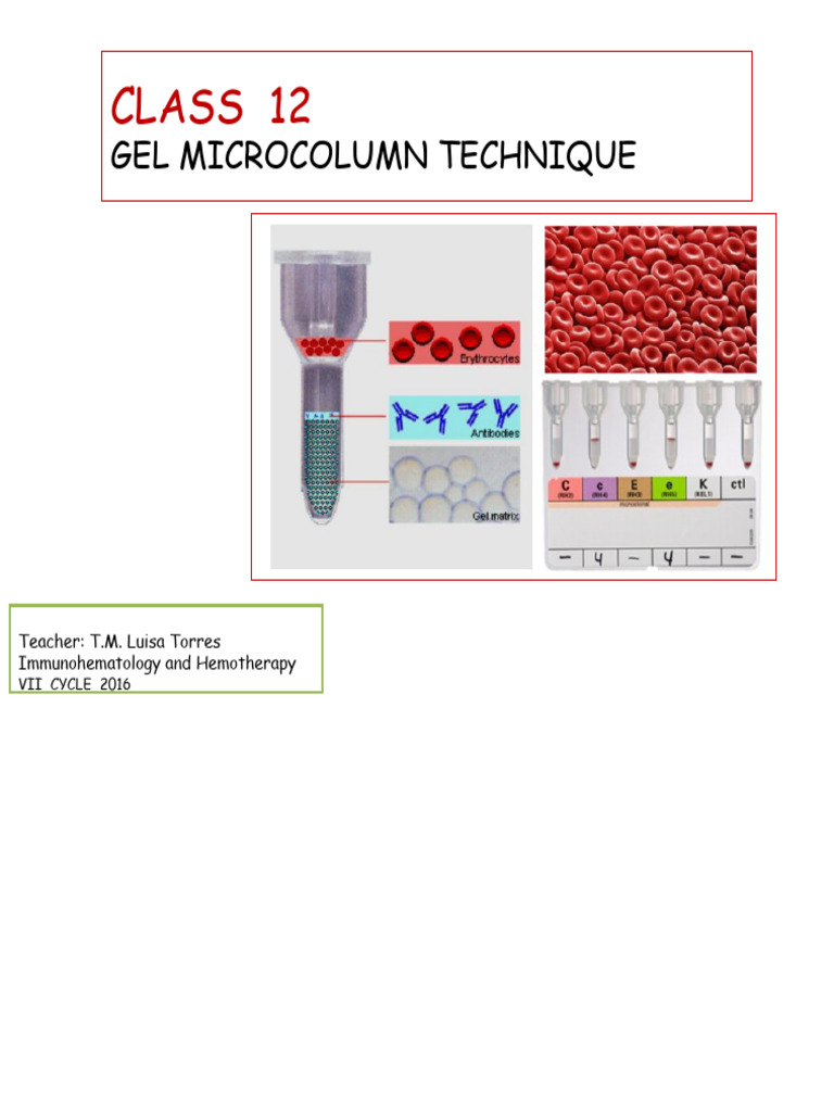 Gel Microcolumn Technique in Immunohematology | PDF | Blood Plasma ...