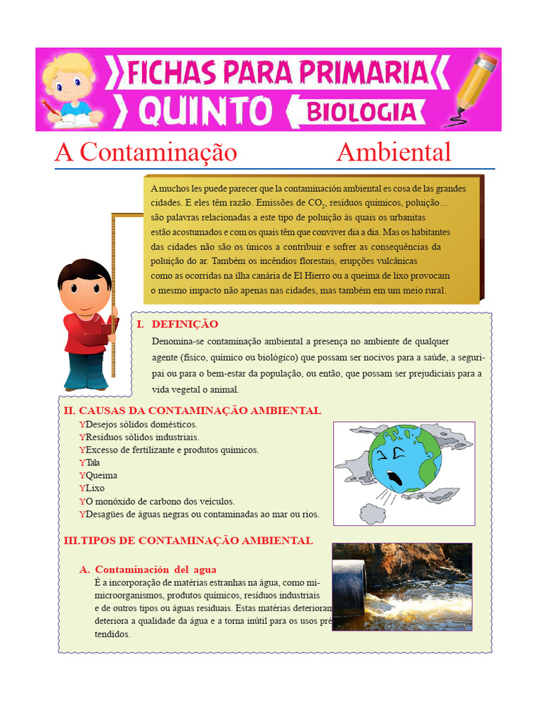 Causas e Tipos de Contaminação Ambiental | PDF | Poluição | Desperdício