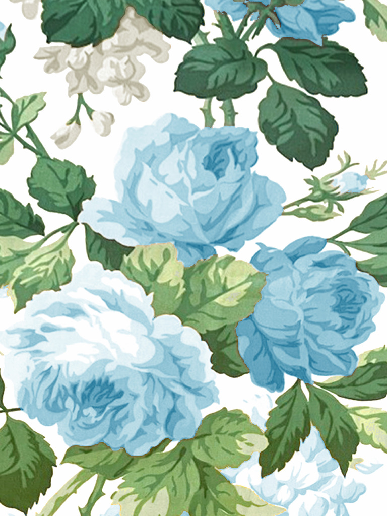 Blue Rose Artwork | PDF