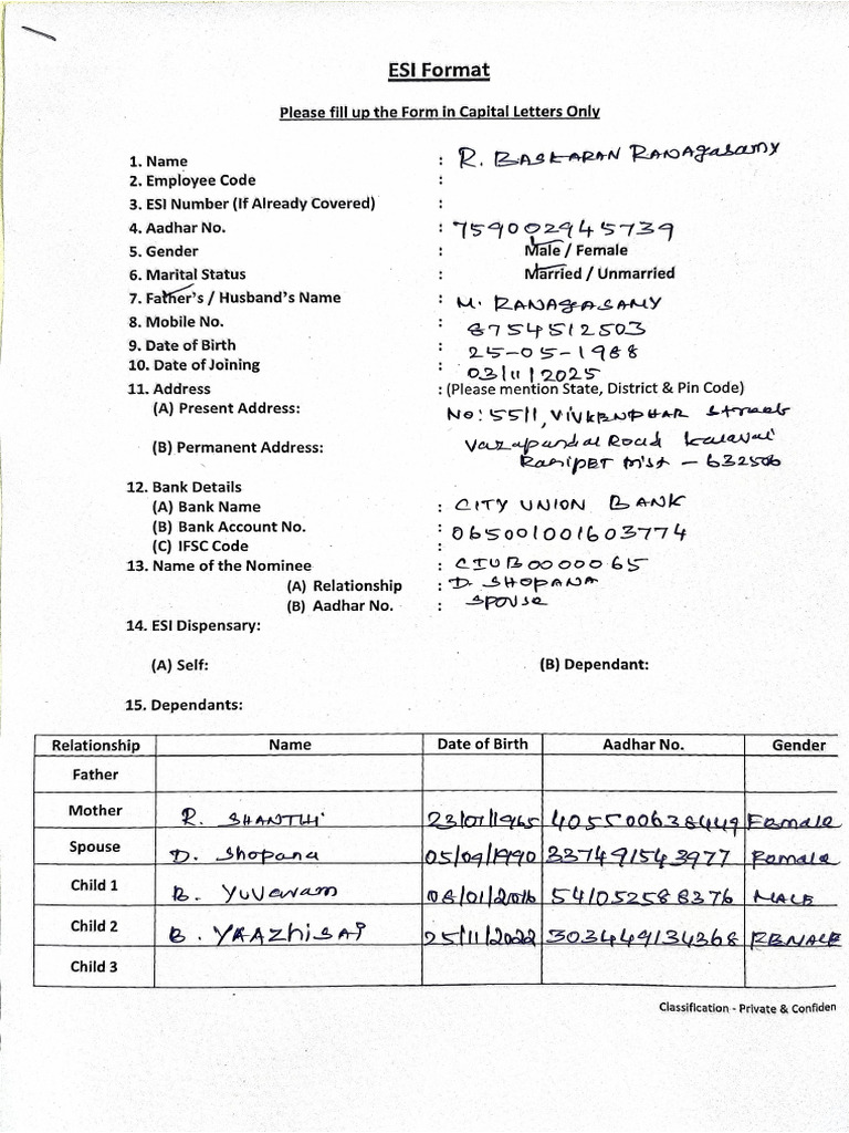 ESI Format 1 | PDF