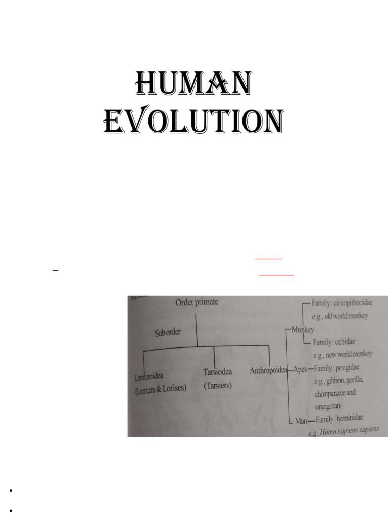 Human Evolution | PDF | Ape | Hominidae