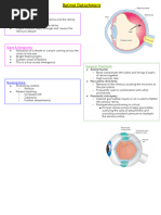 Common Retina and Vitrectomy CPT Codes | PDF | Medical Procedures ...
