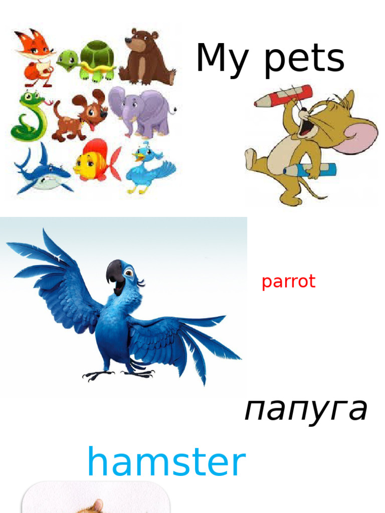 Pets | PDF