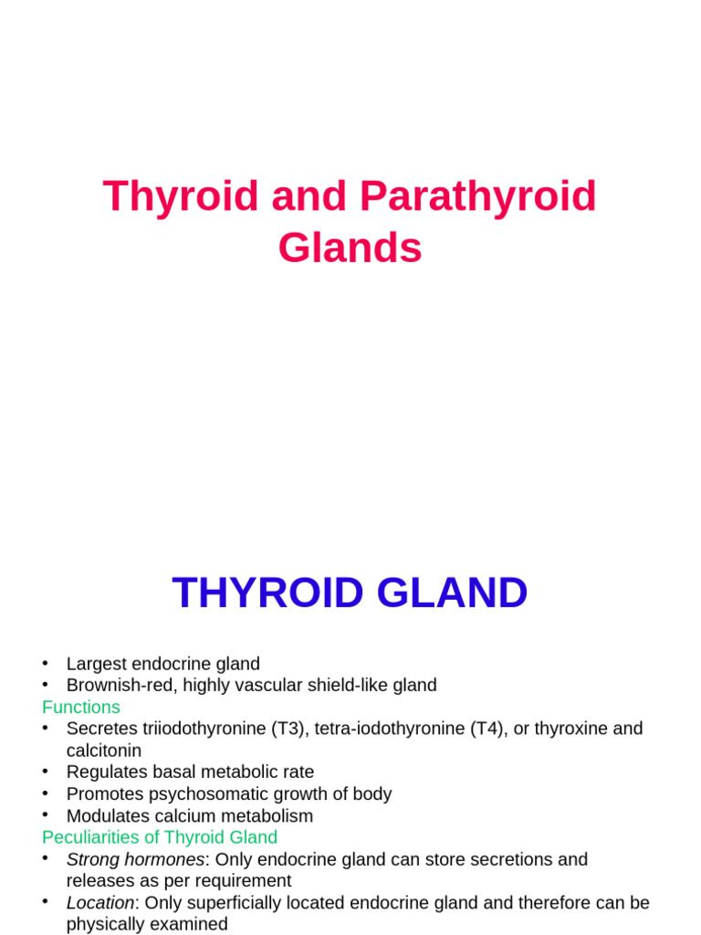 Thyroid Gland Anatomy and Functions | PDF | Thyroid | Pituitary Gland