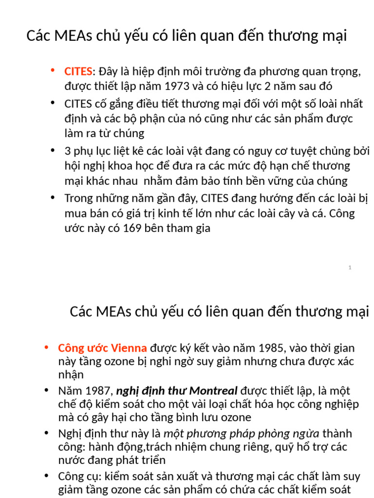 Các MEAs Chủ Yếu | PDF
