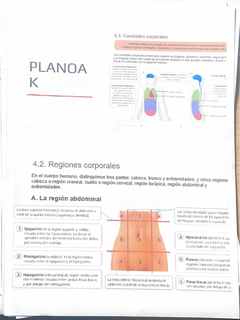 PLANOA | PDF