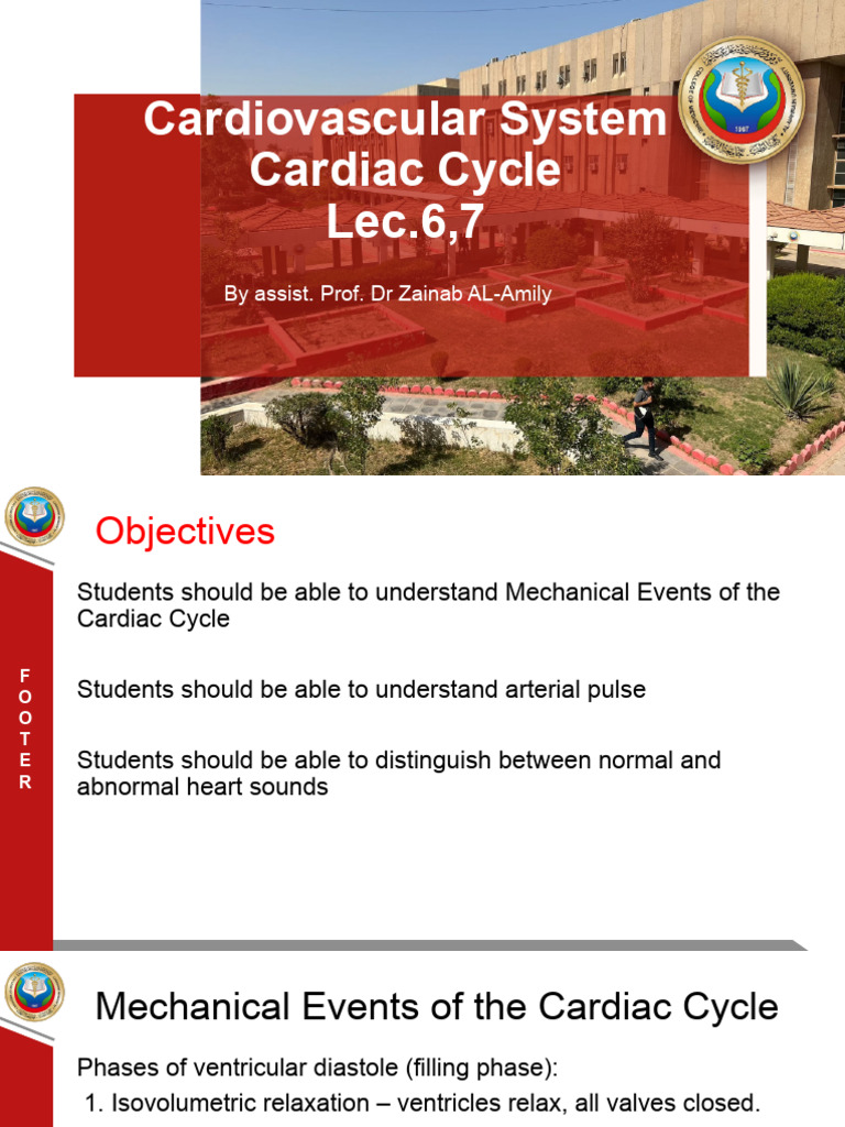 Understanding the Cardiac Cycle Mechanics | PDF | Diastole | Heart Valve