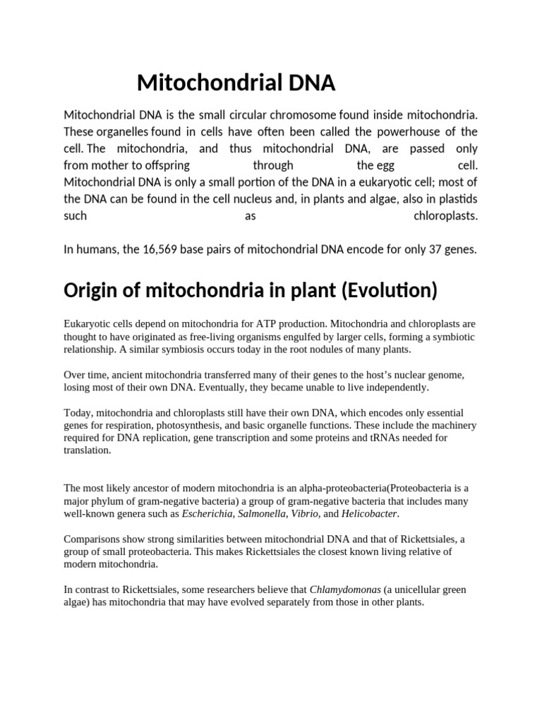 Mitochondrial DNA | PDF | Mitochondrial Dna | Mitochondrion